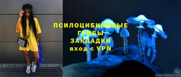 тгк Бронницы