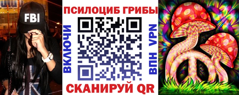 Галлюциногенные грибы Psilocybine cubensis  Сыктывкар 